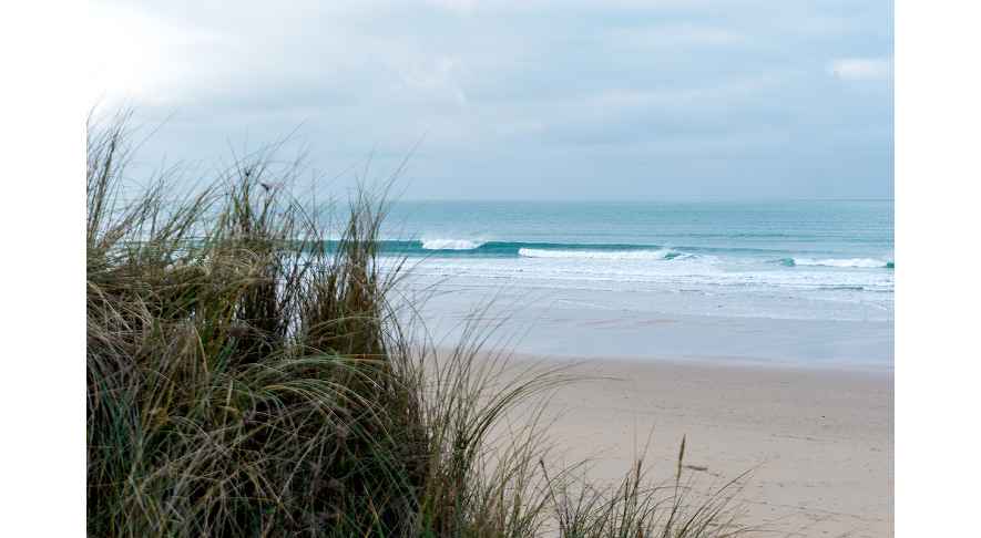 clean waves breaking in front of sand and dune grass